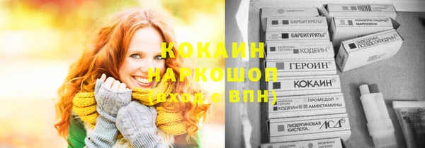 кокс Вяземский