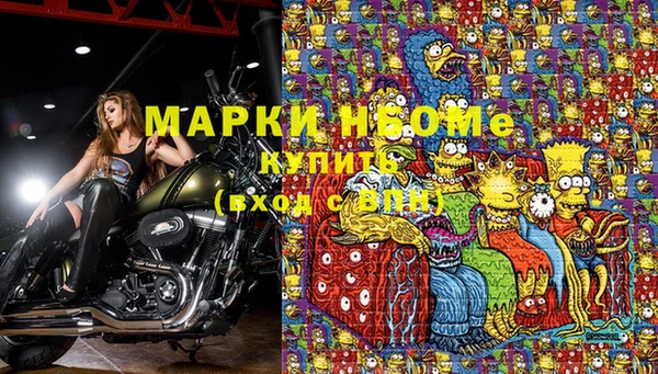 кокс Вяземский