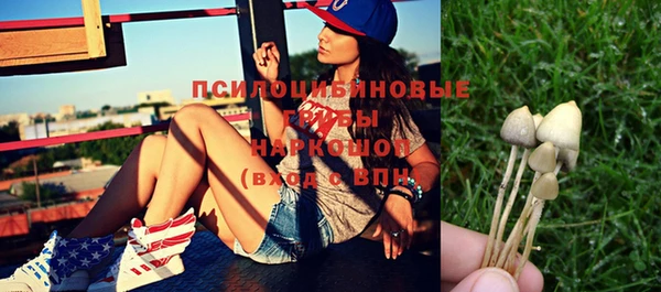 кокс Вяземский