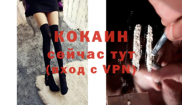 кокс Вяземский