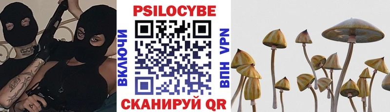 Псилоцибиновые грибы Cubensis  Долгопрудный 